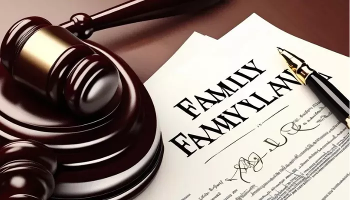 seo for family law